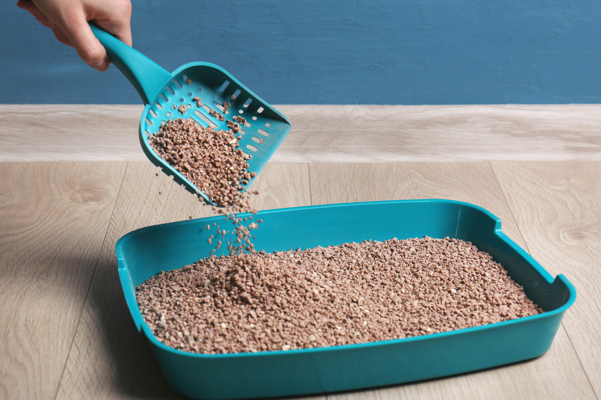 An Automatic Litter Box Guide To Choosing The Best Litter