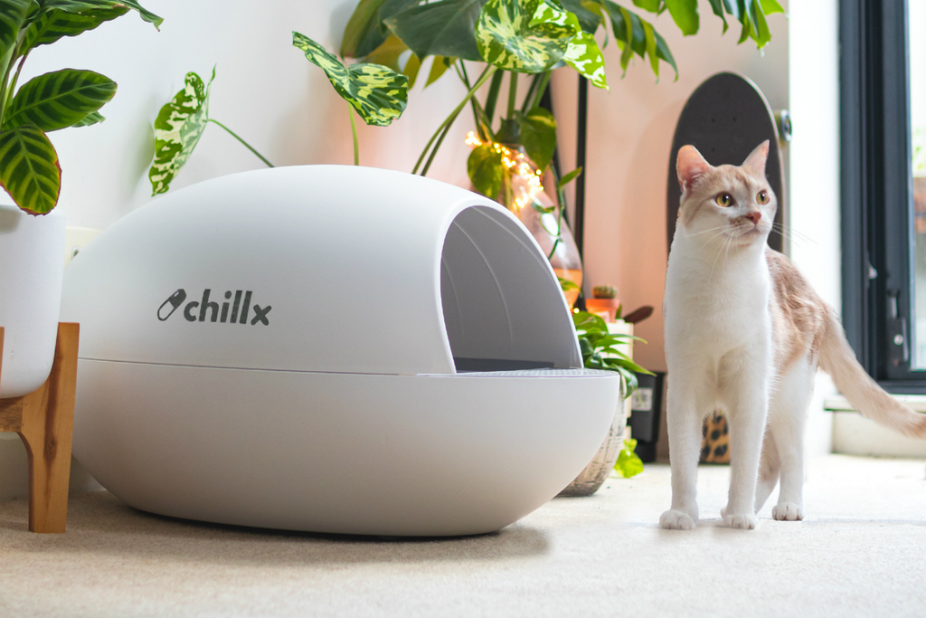 Troubleshooting An Automatic Litter Box - The AutoEgg By ChillX