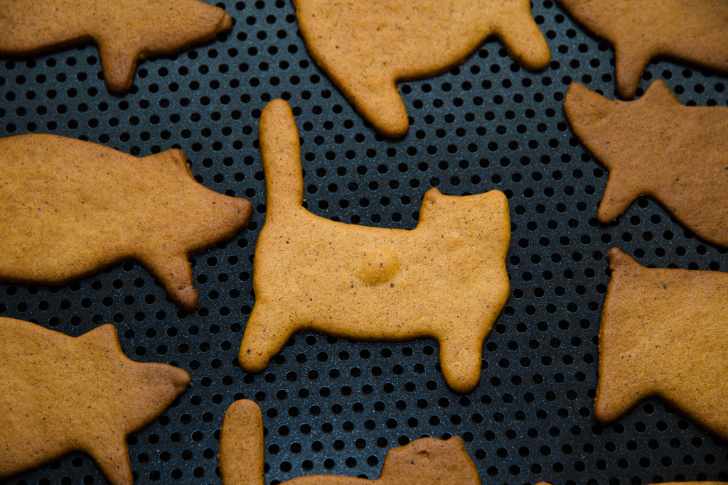 6 Delicious Holiday Treats Your Cat Will Love This Christmas