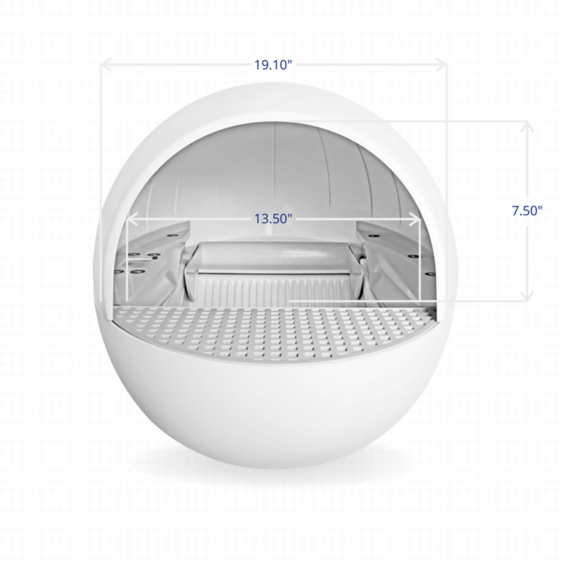 Chillx online auto egg